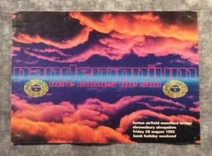 Pandemonium Rave Flyer A4 - Bild 1 von 2