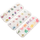 3 Box Epoxy Filled Dried Flowers Nail Art Resin Pressed Natural