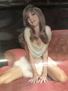 Vintage Peep Show Photo Print Nude Adult Novelty Risque Model Peek A Boo - Picture 1 of 7