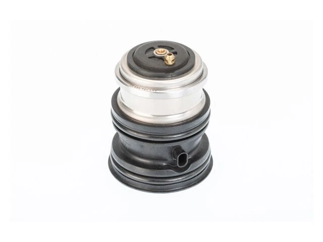 Termostato para Porsche Cayenne 2011-2018 2012 2014 2013 2015 2016 2017 TP467ZJ Foto 1 de 1