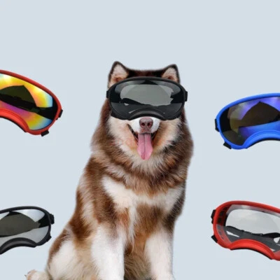 Fashion Pet Dog Doggles Goggles UV Sunglasses Sun Glasses Eye Wear Protection~ - image 1 of 4