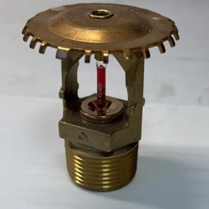 JOB Thermo Bulb F3-XS - Picture 1 of 4