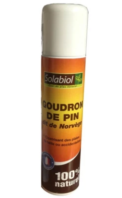 SOLABIOL GOUDRON DE PIN DIT NORVEGE SPRAY 3561560783798 CICATRISATION PLANTE CSK - Photo 1/4
