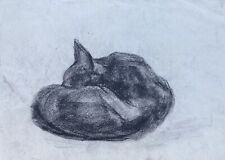 Liegende schlafende Katze #2 Kohlezeichnung Tierporträt Vera Stoss Hamburg 