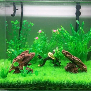 Guppy Grass Watergrass Soil Fish Tank Aquarium Plants - Picture 1 of 11