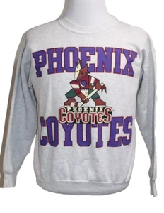RARE Vintage Arizona Phoenix Coyotes Sweatshirt M 1990's y2k Hanes Made in USA - Picture 1 of 8