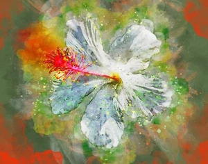 White Hibiscus, Digital Photo Painting, 8 x 10 Art Print, Ready For Framing - Picture 1 of 4
