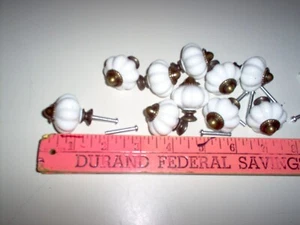 New, Cabinet, cupboard, knobs, 10 with screws, white with brass - Picture 1 of 3