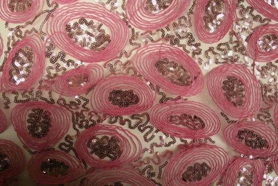 ENCANTADORA tela transparente bordada, 54 pulgadas de ancho Foto 1 de 3