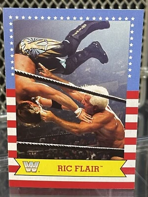 Tarjeta de lucha libre 2017 Topps Heritage Ric Flair WWE #28 WCW WWF Vs Chris Jericho Foto 1 de 4