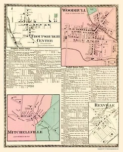 City Map - Troupsburgh Woodhull Mitchellville New York - Beers 1873 - 23 x 28 - Picture 1 of 20