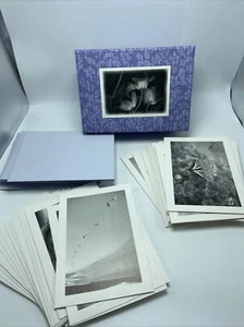 New Season's Box Of Greeting Cards Various Themes Lavender Box 45 Cards - Picture 1 of 12
