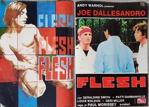 Fotoumschlag "Flesh" von Andy Warhol Italienische Premiere 1977 - Bild 1 von 1