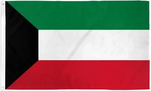 Kuwait 2x3ft Poly Flag International Kuwaiti Kuwait Country National Flag - Picture 1 of 3