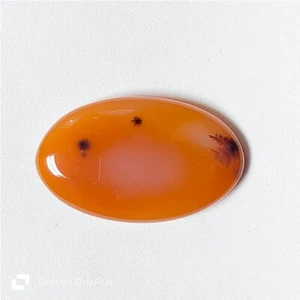 Carnelian Orange Cabochon Natural Loose Gemstone For Jewelry 47 Cts ME-10354 - Picture 1 of 4