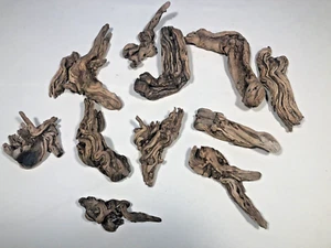 Reptile Succulent Air Plant Orchid Plant Mounts River Driftwood 11 Pieces - Picture 1 of 12