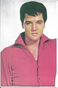 CARTE POSTALE ELVIS PRESLEY - Bild 1 von 1
