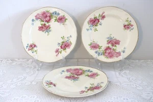 EDWIN M KNOWLES USA S-443-E1 1930s Pink Blue Flowers 2-Bread 3-Luncheon Plates - Picture 1 of 9