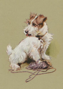 JACK RUSSELL TERRIER CUTE DOG PLAYS WITH WOOL GREETINGS NOTE CARD - Bild 1 von 1