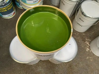 PAINTMASTER PM SKIP & CONTAINER PAINT ENAMEL GLOSS MID BRUNSWICK GREEN GREAT COVER