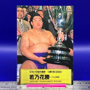 Wakanohana Masaru Sumo Wrestler Trading Card BBM 1997 TCG Vintage Japanese #64