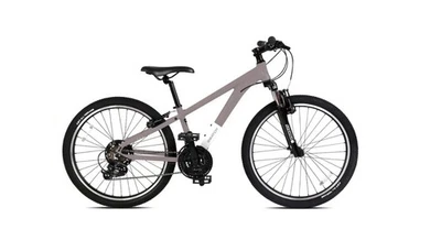 Lote de 24 bicicletas de montaña juveniles - Pirce regular - $430 Foto 1 de 3