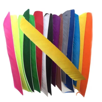 50X Full Length Arrow Feathers Turkey Fletches Archery DIY Right Left Wings - Image 1 of 4