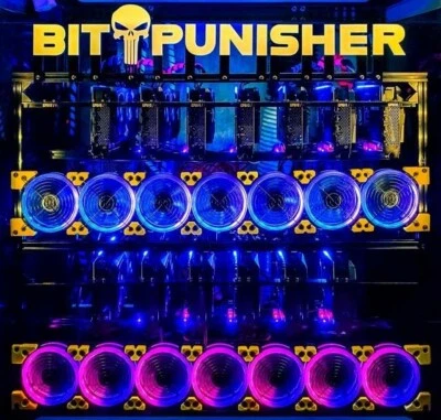 2 GPU BitPunisher Mining Rig Open Frame BTC Bitcoin, ETH Crypto RTX 5090 - Image 1 of 4