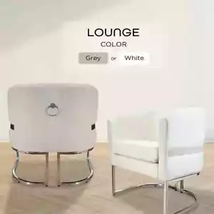 LUXury Lounge Chair Modern Gray for Home, Salons and Spas, Waiting Area, Office - Picture 1 of 13