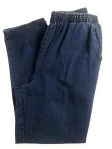 CHIC Women’s Elastic Waist Blue Denim Jeans ~ Size 12 ~ Pull On ~ Mom’s - Picture 1 of 7