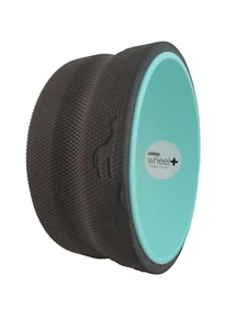 Chirp Foam Roller Wheel for Back Pain Relief, Muscle Therapy ~ 11.5" diam. x 5"w - Bild 1 von 4