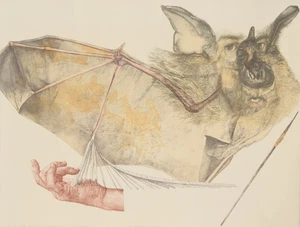 Reiner Schwarz *1940 Hirschberg Lithografie 1982 "Selbst Nächtliche Verwandlung" - Picture 1 of 24