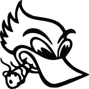 Racing Duck w/Cigar Vinyl Decal  Sticker 42 different colors available - Imagen 1 de 44