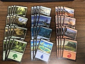 MTG Dominaria Basic Land Playset, 4x Of Each Art (80 Total Cards) - Picture 1 of 2