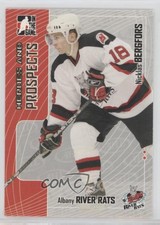 2005-06 ITG Heroes and Prospects Niclas Bergfors Nicklas Bergfors #210