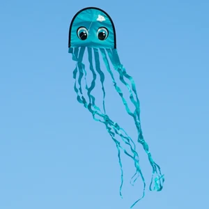 Octupus Draki Pacific, für Kinder ab 3 Jahren, Größe: 25x160cm, + Drachenschnur - Bild 1 von 3