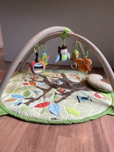 skip hop hug and hide activity gym