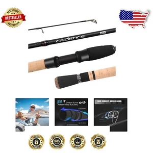 30 Ton Carbon Fishing Rod with Fuji Reel Seat & Stainless Steel Guides - Picture 1 of 10