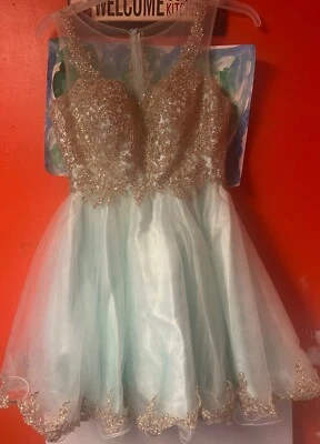 Девочек средний синий кружева золотой лиф выпускное платье - Изображение 1 из 4