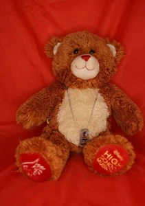 Oso Build A Bear Workshop Disney "High School Musical" con traje y etiqueta de perro - Imagen 1 de 1