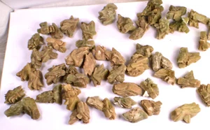 #8127 Green Heulandite Floater - Shampur Mines, Indien [NUR 1 STÜCK] - Bild 1 von 5