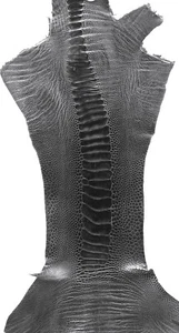 Straußenhaut Beine Leder, anthrazitgrau GL - Bild 1 von 3