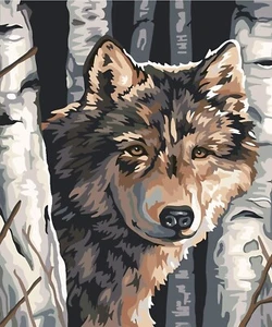 Paint by Number for Adults. Wolfs DIY Acrylic Painting Kit for Adults Beginner - Picture 1 of 6