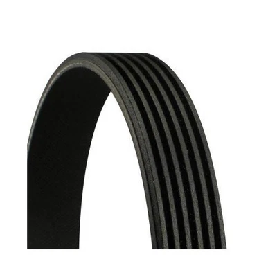 Courroie Trapézoïdale À Nervures Continental Ctam 6PK2241 pour Chrysler Dodge - Photo 1/2