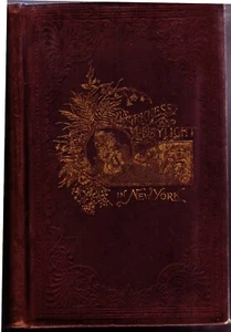 Vintage Book DARKNESS and DAYLIGHT In New York, Helen Campbell (hardcover, 1892) - Imagen 1 de 8
