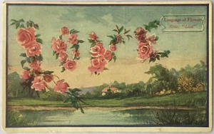 Sprache der Blumen Rose: Liebe rosa Rosen verschickt 1910 - Bild 1 von 2