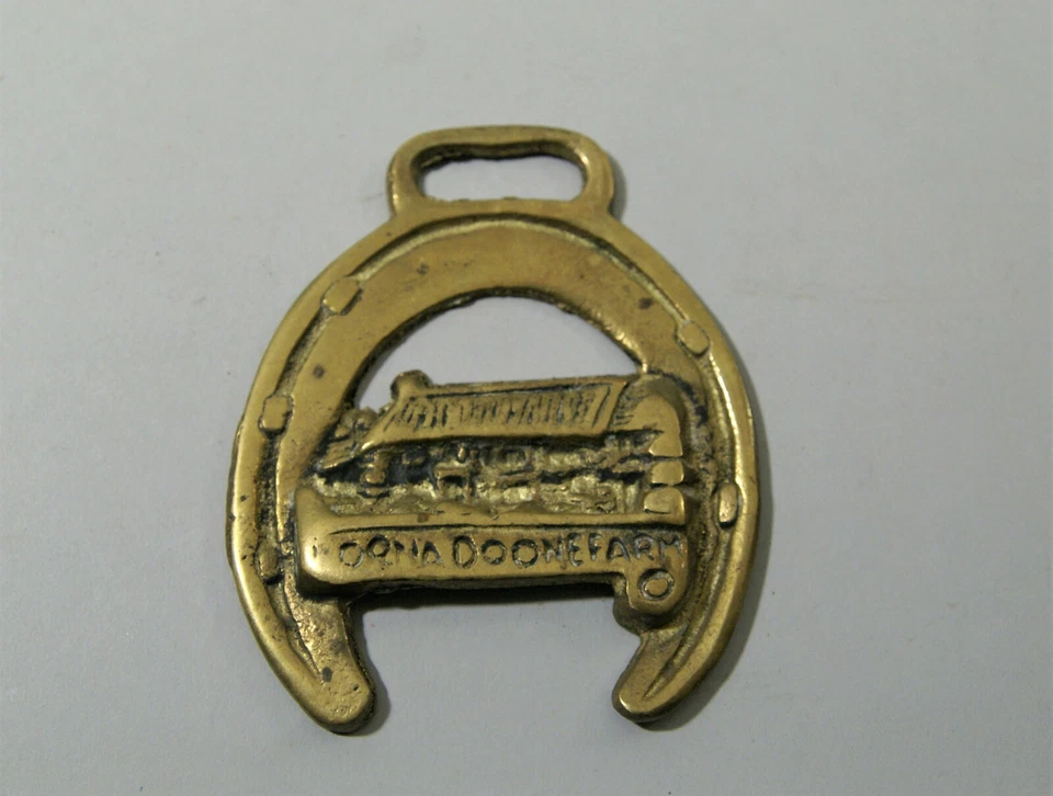   ANCIENNE DECORATION DE HARNAIS POUR CHEVAL, laiton, Angleterre, horse brass - Photo 1/1