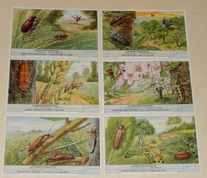 LANDBOUWPARASITEN komplette Serie 6 Chromos LIEBIG in flämischer Sprache - Bild 1 von 2