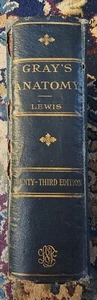 Gray's Anatomy of Human Body 23rd Ed. 1936 Lea & Febiger Illust. 1216 Engravings - Picture 1 of 5