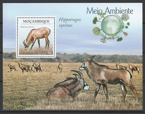 Mozambique 2010 Fauna, Animals MNH Block - Picture 1 of 1